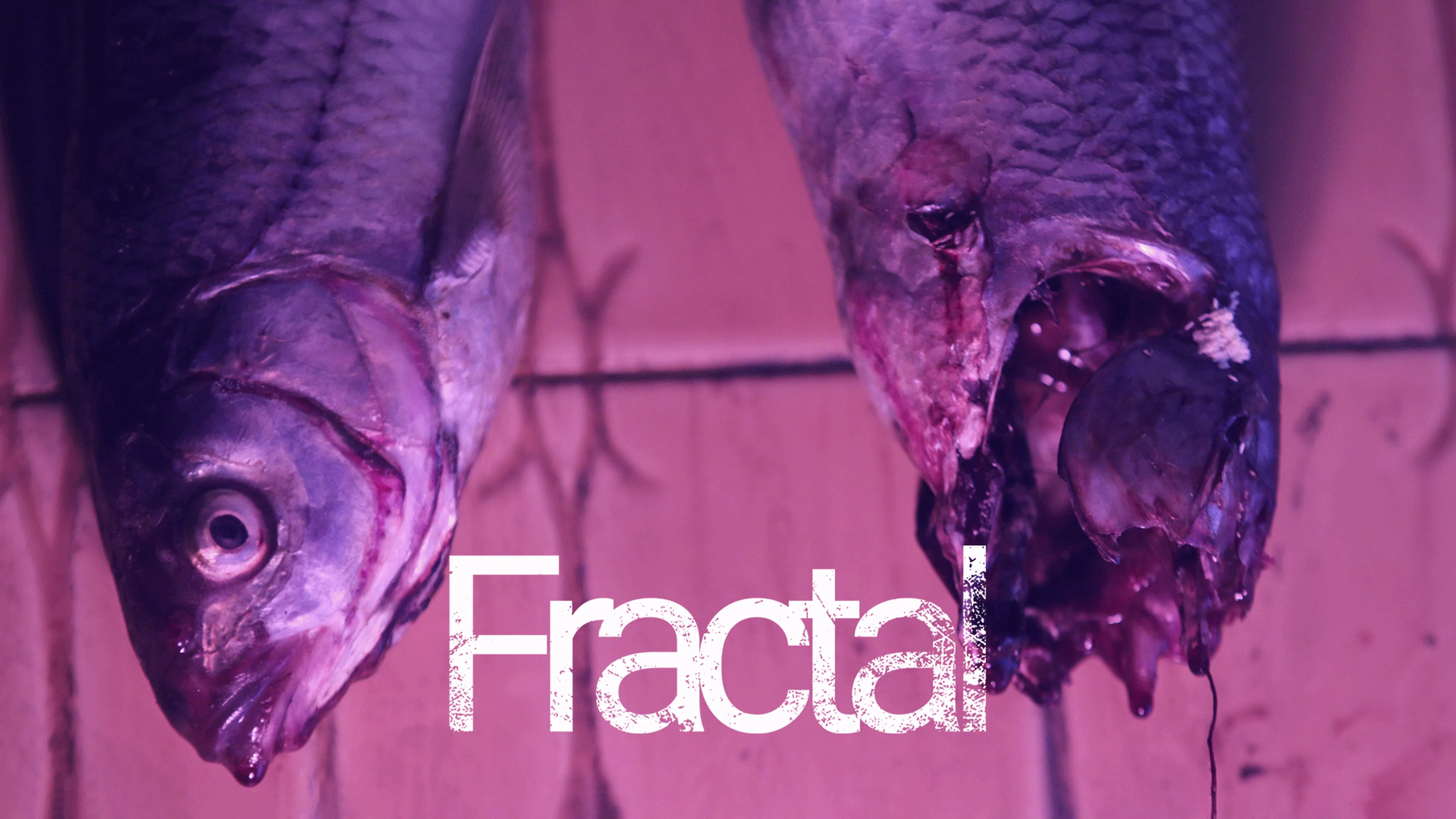 Fractal poster